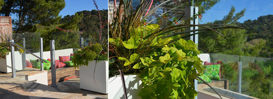 Fine Gardening Contractor